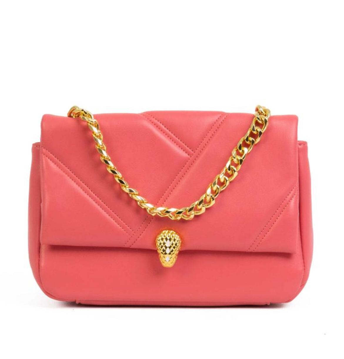 Ḅṿŀġäŕï bag Bags Hippochi