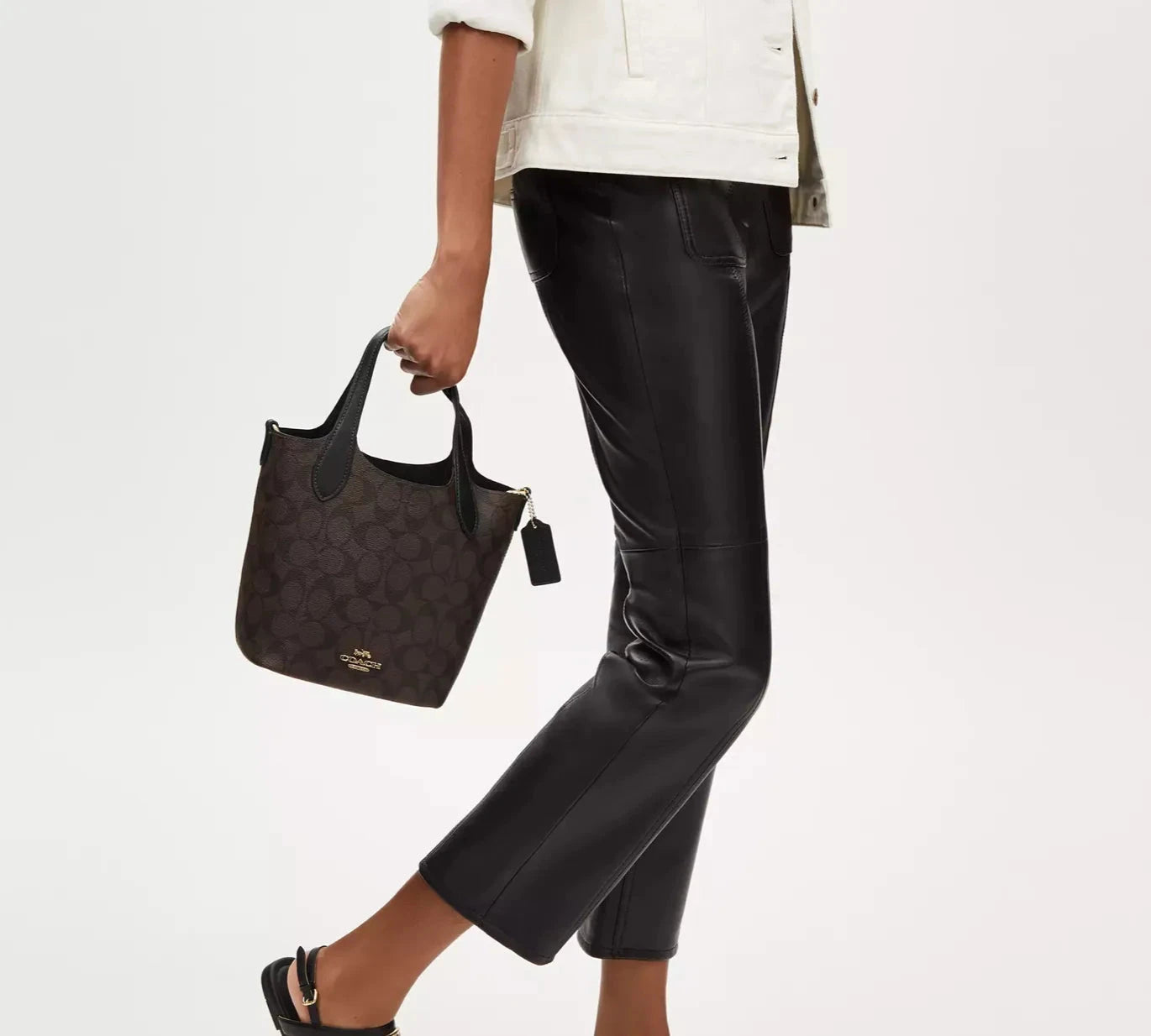 ϾΟΆϾΗ bucket Shoulder Bag In Signature Canvas Bags Hippochi