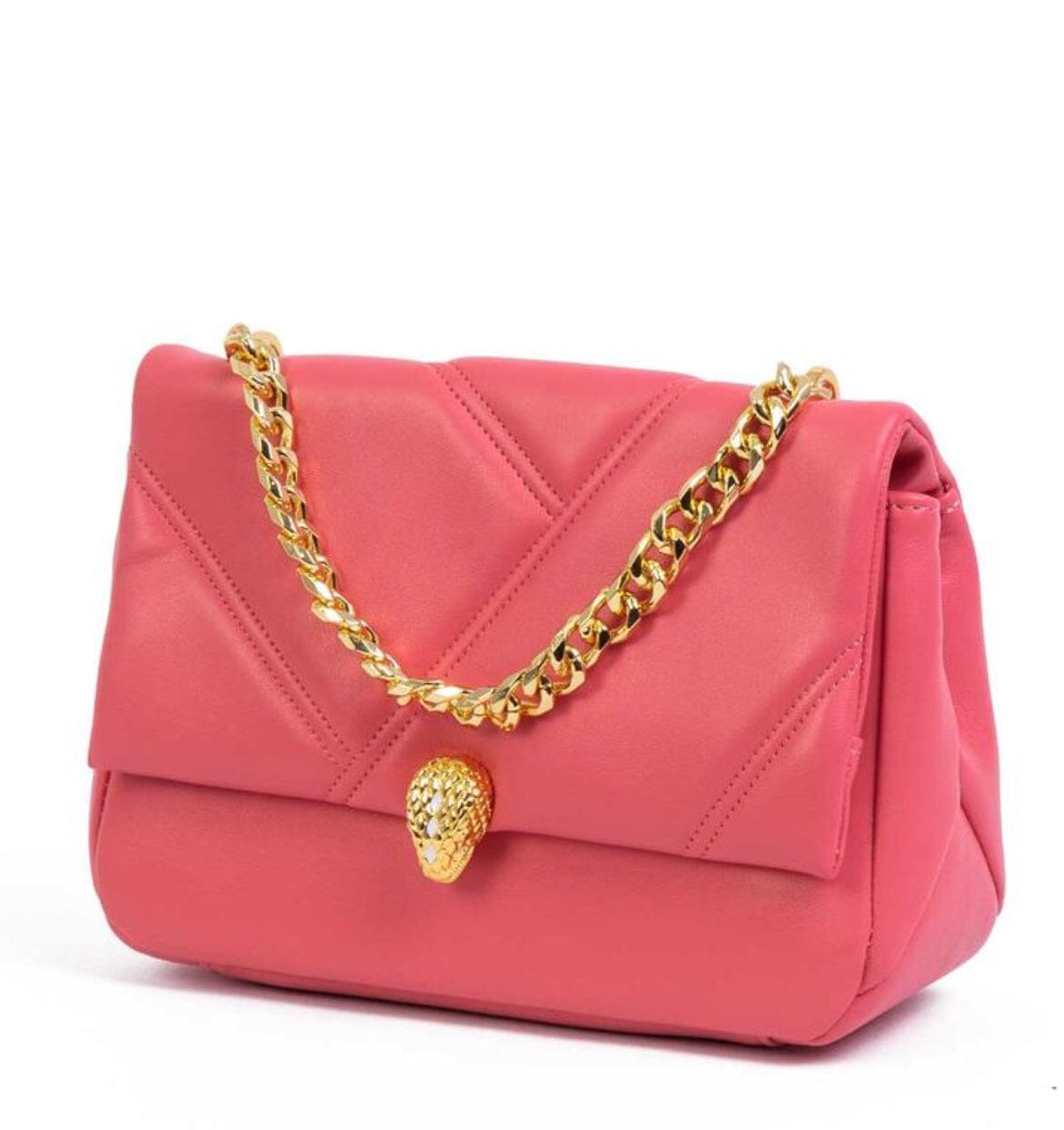 Ḅṿŀġäŕï bag Bags Hippochi