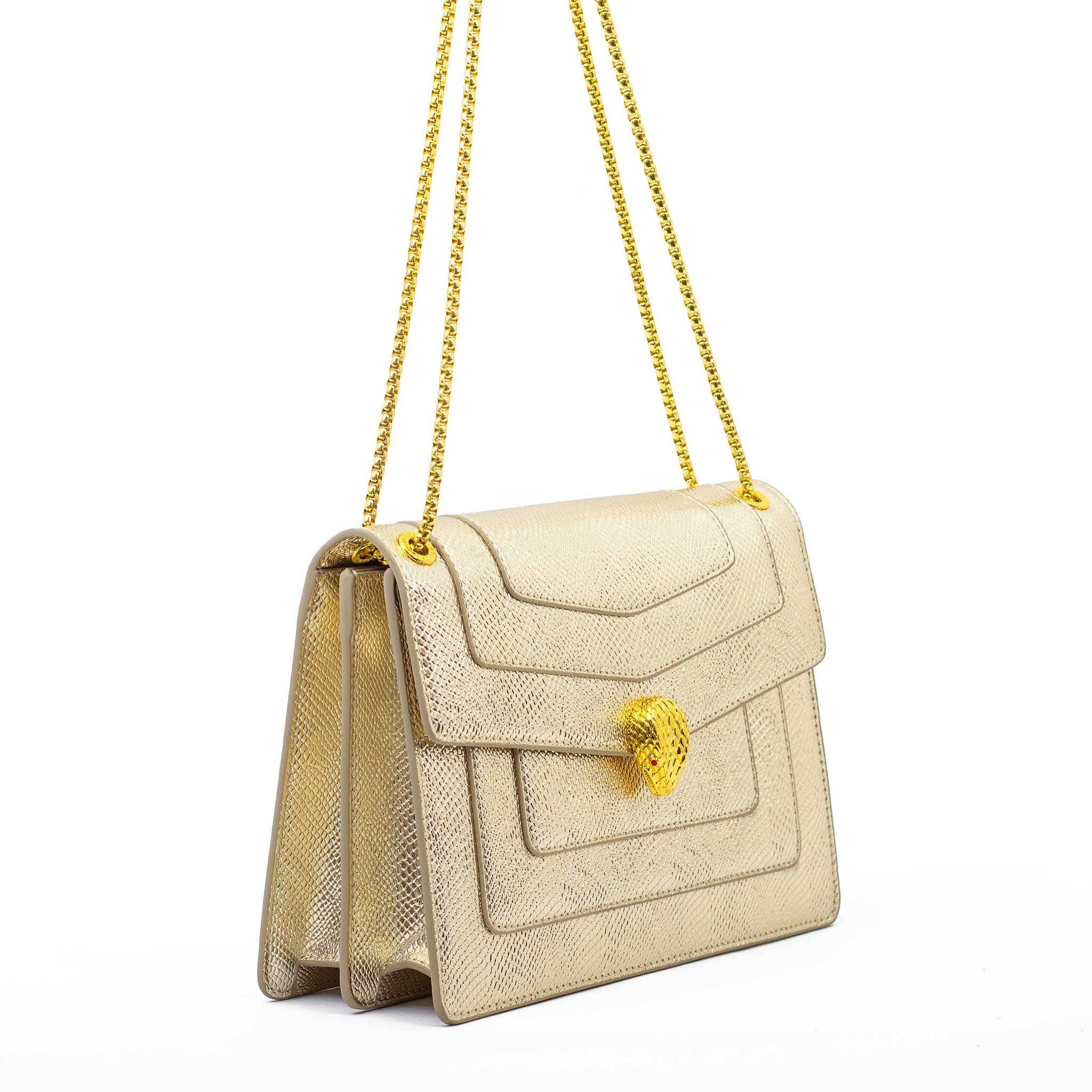 Ḅṿŀġäŕï bag Hippochi