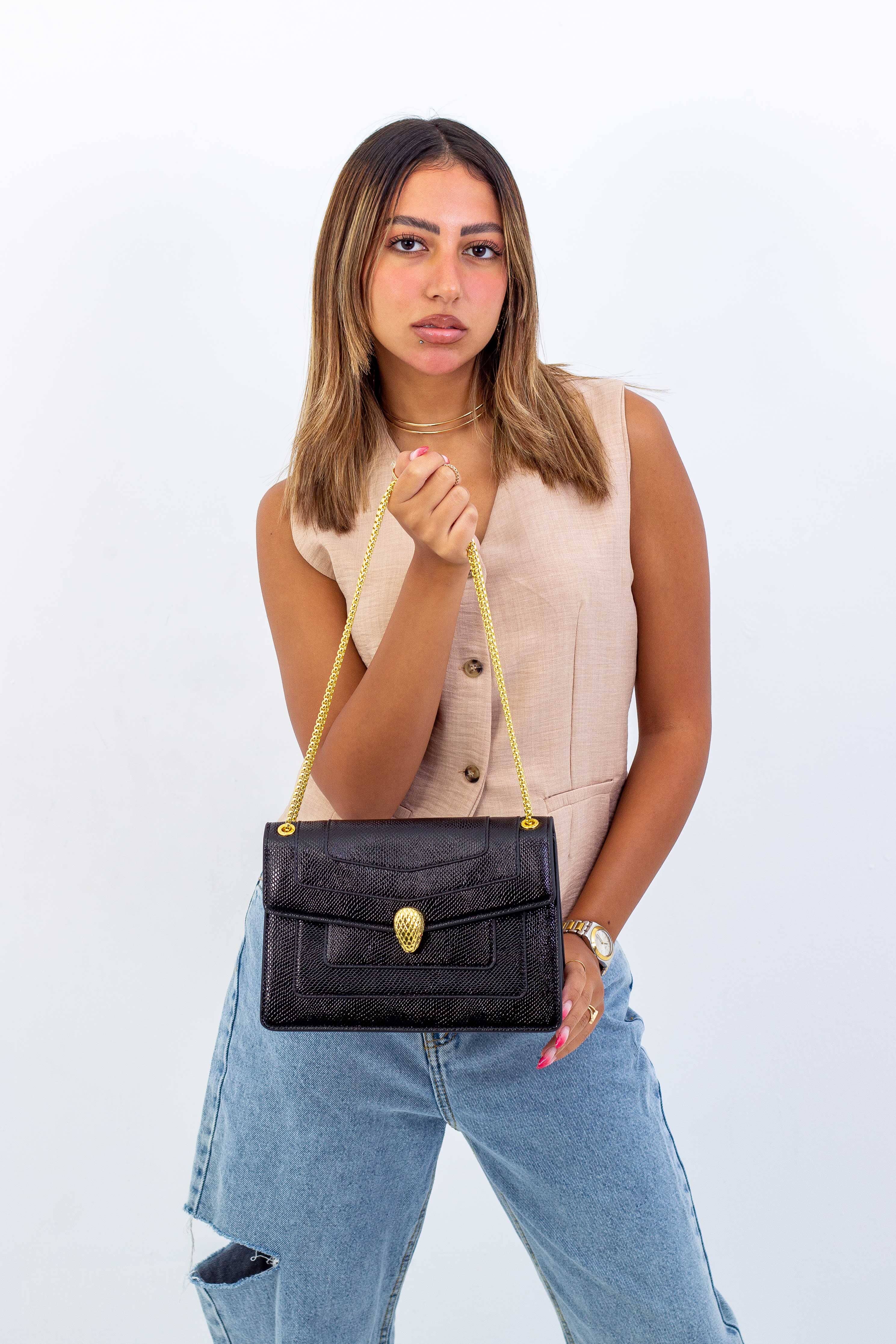 Ḅṿŀġäŕï bag Hippochi