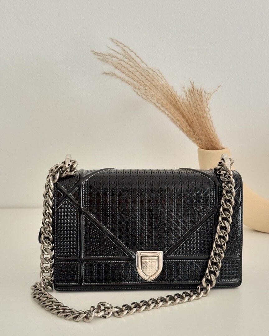 ĎİŌŖ shoulder bag Bags Hippochi