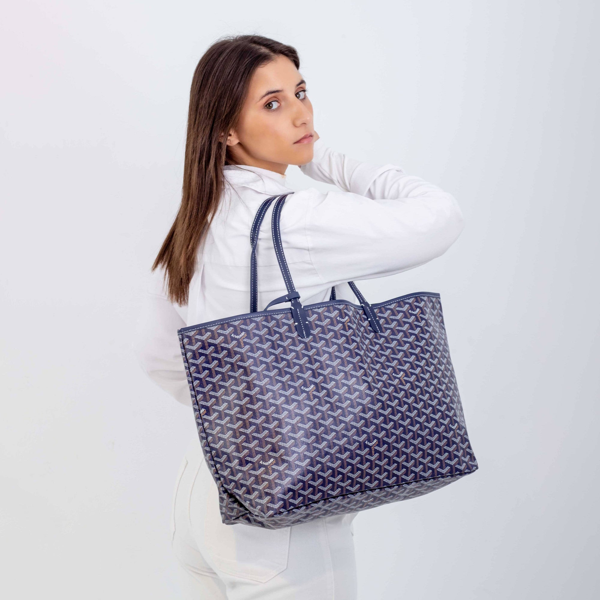 Goyard GM Tote Hippochi