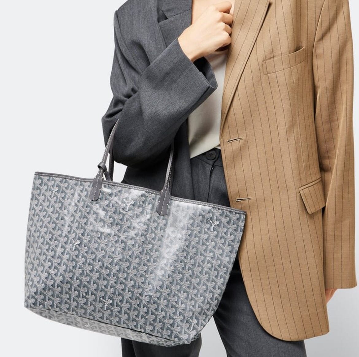 Goyard MM Tote Bag Bags Hippochi