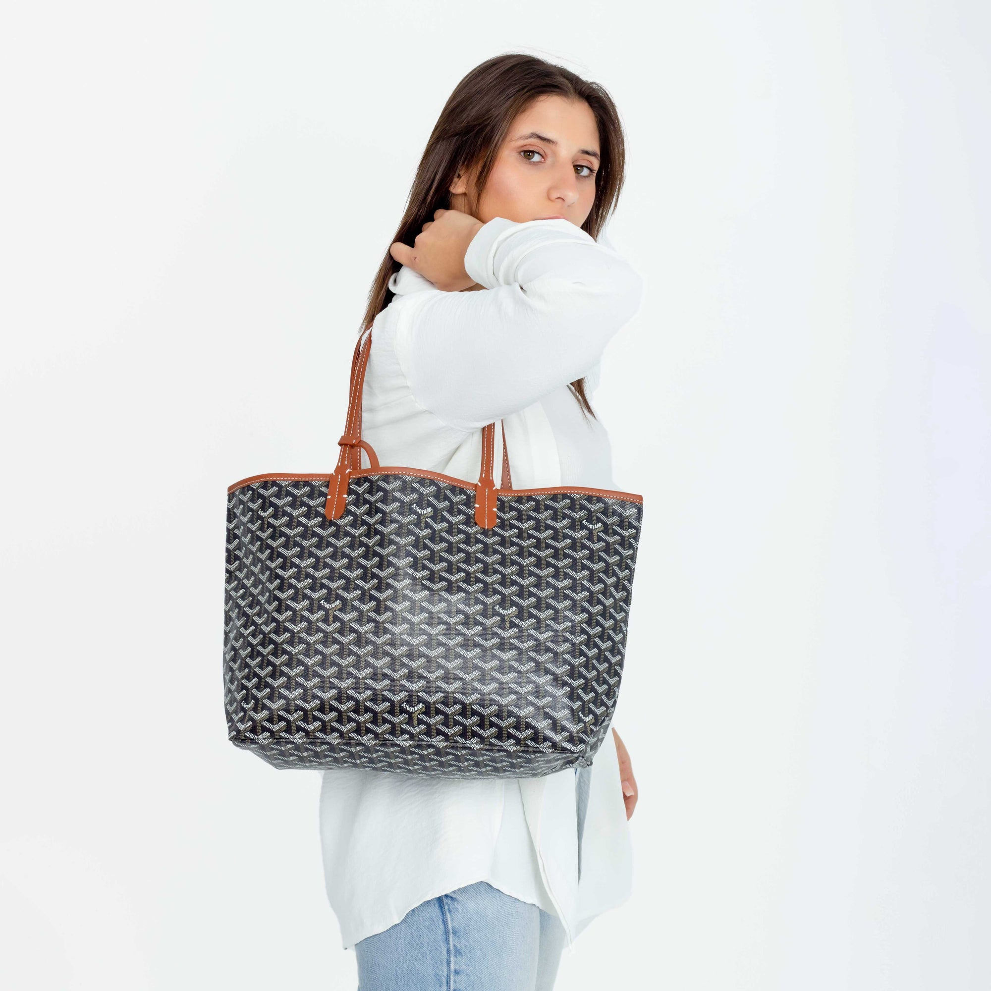 Goyard MM Tote Bag Hippochi