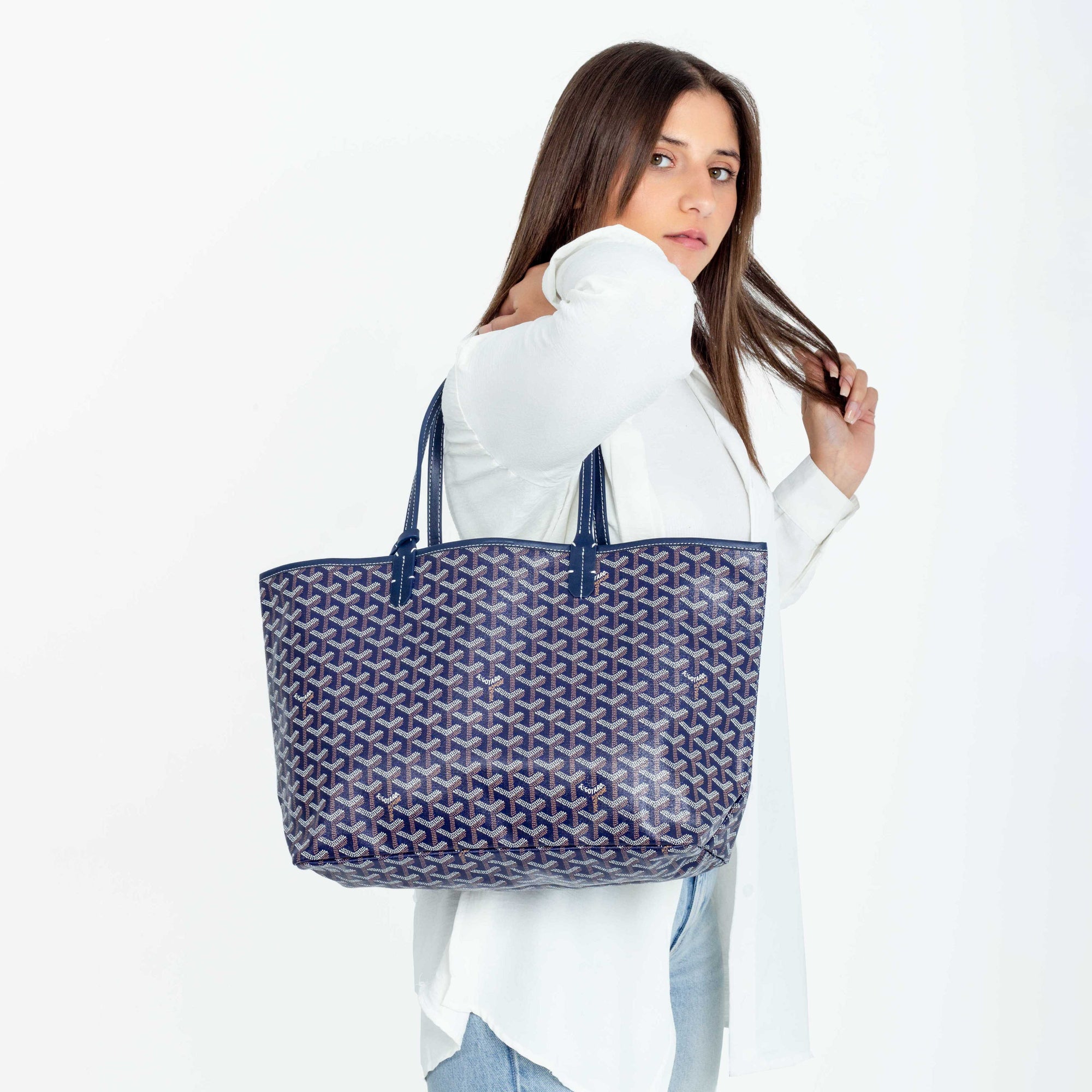 Goyard MM Tote Hippochi