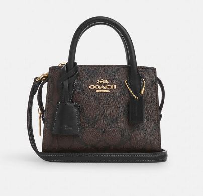 ϾΟΆϾΗ Andrea Mini Carryall In Signature Canvas Bags Hippochi