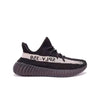 ADIDAS YEEZY BOOST 350 hippochi