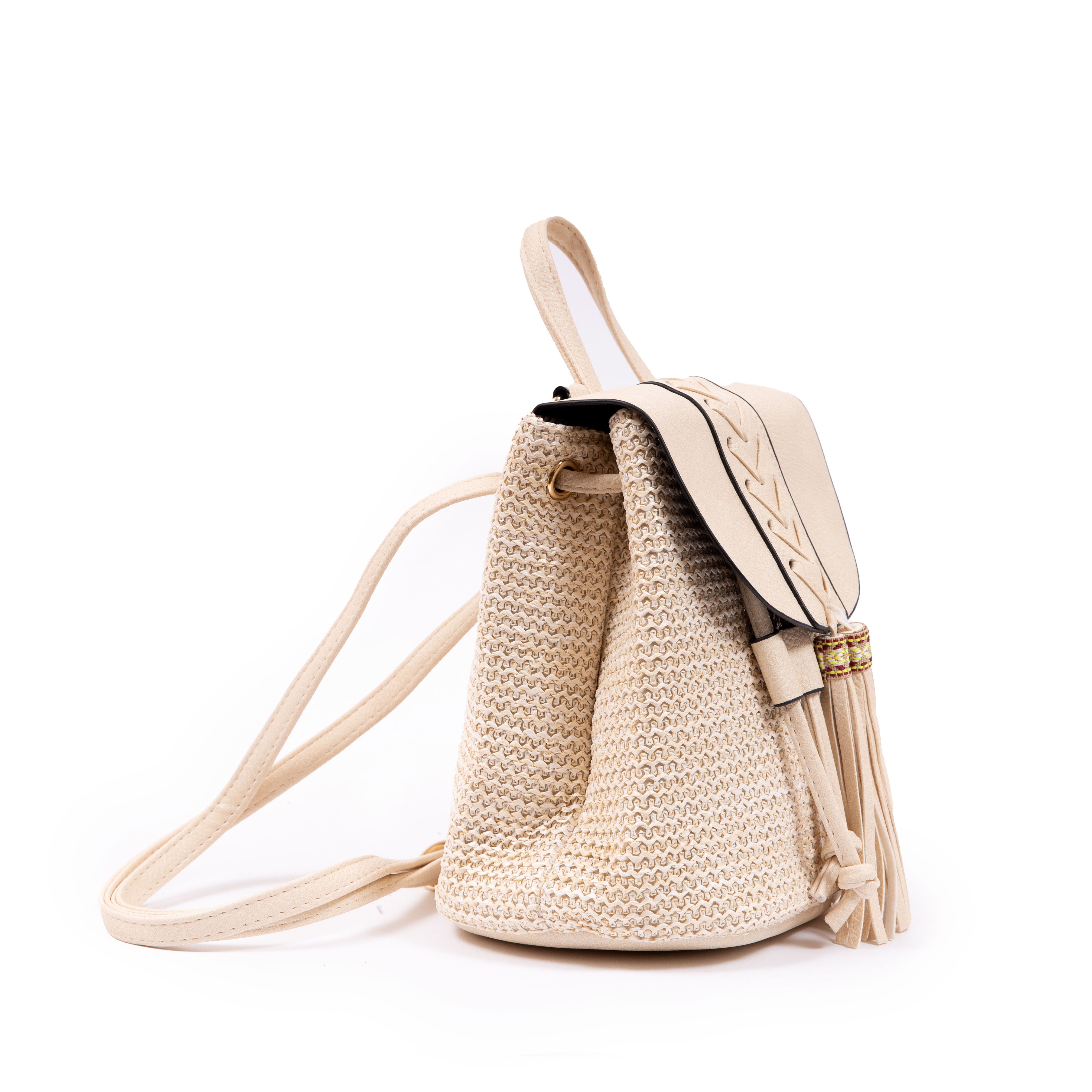 Backpack Beach hippochi