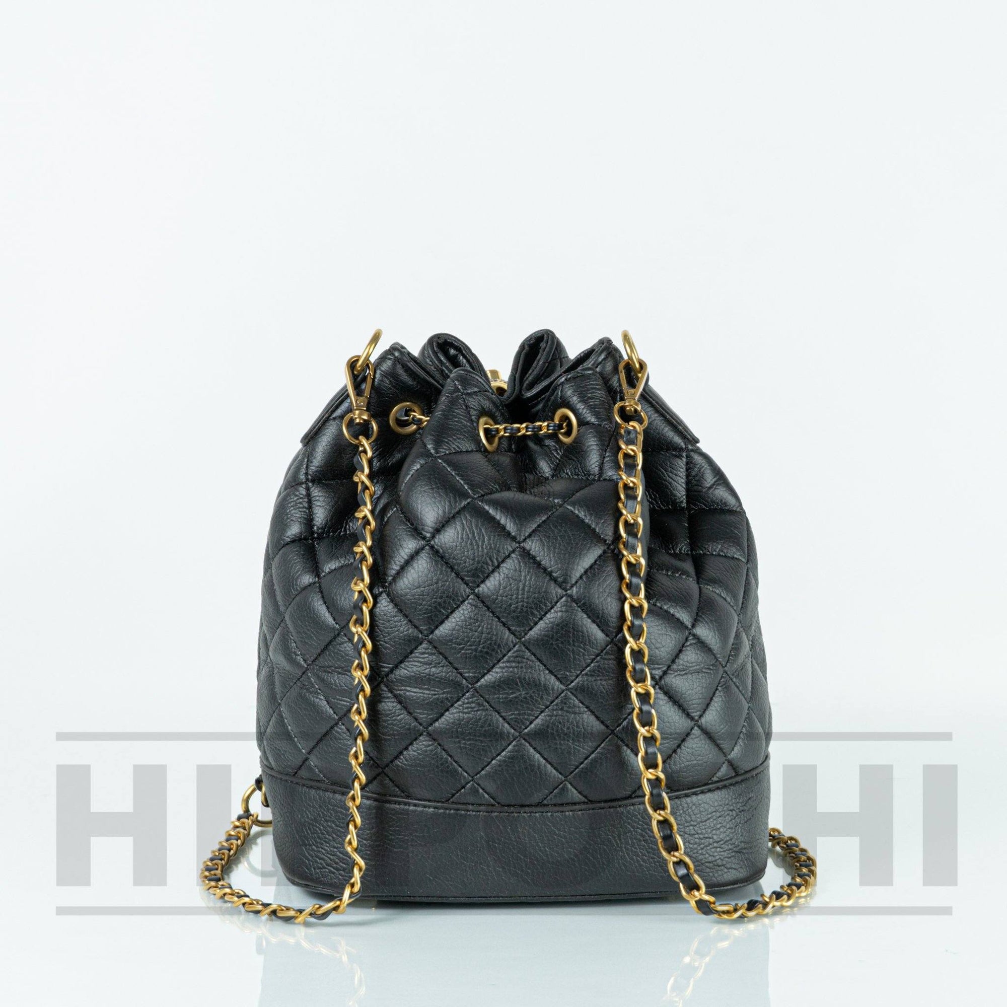Chanel back bag Hippochi