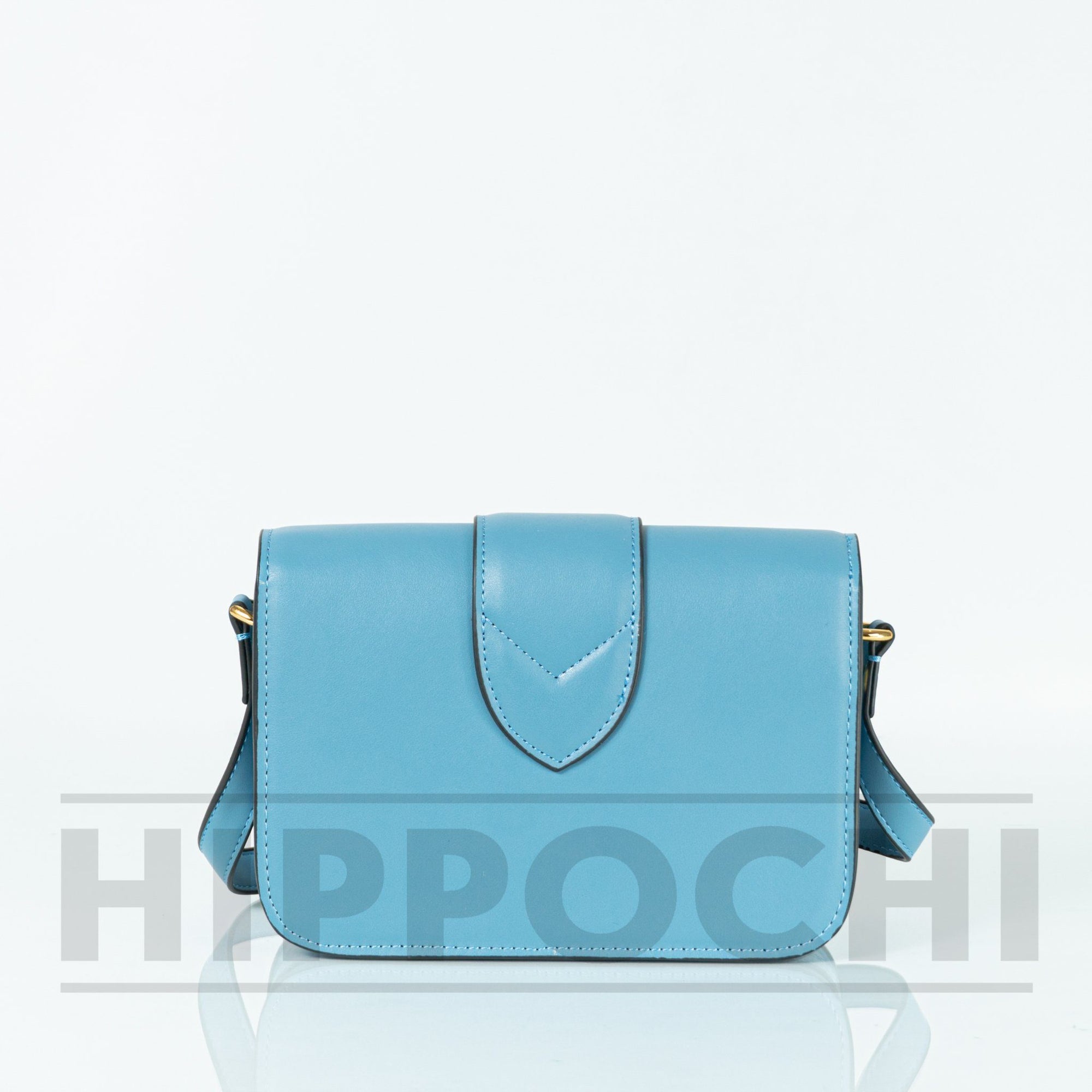 Louis Vuitton handbag Hippochi